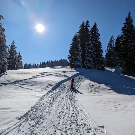 Alpenauszeit Im Allgaeu Oy-Mittelberg
