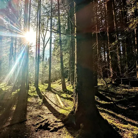 Alpenauszeit * Oy-Mittelberg